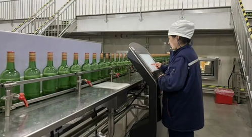 我区10家企业荣获北京市智能工厂先进级认定，引领产业智能化升级